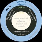 Piano d'azione per la riduzione del rischio e l'utilizzo sostenibile dei prodotti fitosanitari - Rapporto del Consiglio federale