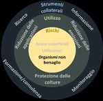 Piano d'azione per la riduzione del rischio e l'utilizzo sostenibile dei prodotti fitosanitari - Rapporto del Consiglio federale
