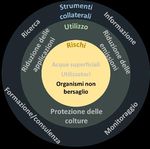 Piano d'azione per la riduzione del rischio e l'utilizzo sostenibile dei prodotti fitosanitari - Rapporto del Consiglio federale