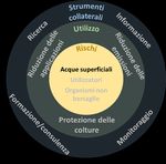 Piano d'azione per la riduzione del rischio e l'utilizzo sostenibile dei prodotti fitosanitari - Rapporto del Consiglio federale