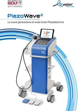 La nuova generazione di onde d'urto Piezoelettriche - ELvation