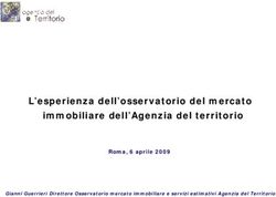 L'esperienza dell'osservatorio del mercato immobiliare dell'Agenzia del territorio - Roma, 6 aprile 2009
