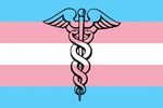 PERSONE TRANSGENDER E HIV: FRAME - LUISA BROGONZOLI Responsabile di progetto - NPS Italia Onlus