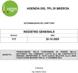 AGENZIA DEL TPL DI BRESCIA - SAV Visinoni