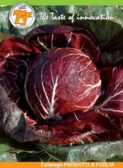 Catalogo PRODOTTI A FOGLIA