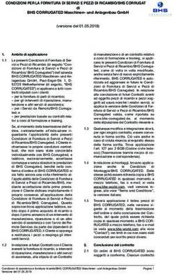 CONDIZIONI PER LA FORNITURA DI SERVIZI E PEZZI DI RICAMBIO/BHS CORRUGATED