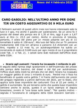CARO GASOLIO: NELL'ULTIMO ANNO PER OGNI TIR UN COSTO AGGIUNTIVO DI 9 MILA EURO - CGIA