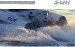 Luxury tenders 2018 collection - Leader in emotions - Blues Yachting