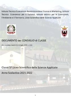 DOCUMENTO del CONSIGLIO di CLASSE - Istituto ...