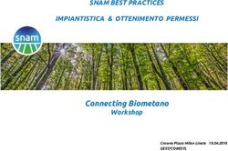 Connecting Biometano - SNAM BEST PRACTICES IMPIANTISTICA & OTTENIMENTO PERMESSI - Workshop