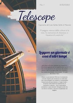 Telescope - Liceo Scientifico Galilei ...