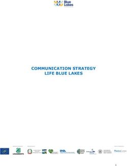 COMMUNICATION STRATEGY LIFE BLUE LAKES