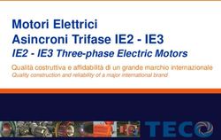 Motori Elettrici Asincroni Trifase IE2 - IE3 - IE2 - IE3 Three-phase Electric Motors - VIMEC