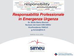 Responsabilità Professionale in Emergenza Urgenza - Dr. Giulio Maria Ricciuto Revisore dei Conti CDN SIMEU VicePresidente FIMEUC