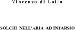 SOLCHI NELL'ARIA AD INTARSIO - Vincenzo di Lalla