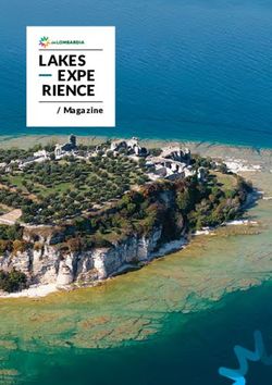 LAKES EXPE RIENCE / Magazine - visitare Pavia