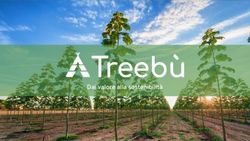 Dai valore alla sostenibilità - DigithON