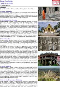 Easy Cambogia Tour in italiano - 7 giorni / 6 notti Cambogia Phon Penh - Siem Reap - Rolous - Siem Reap - Kompong Thom - Phnom Penh