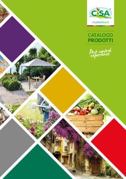 Experience CATALOGO cisadriatica.it - Cisa Adriatica