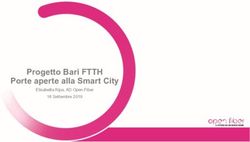 Progetto Bari FTTH Porte aperte alla Smart City - Elisabetta Ripa, AD Open Fiber 16 Settembre 2019 - BariViva