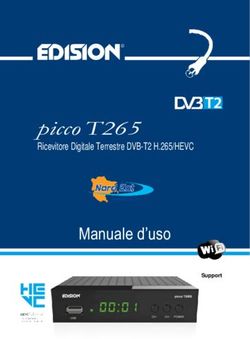 Picco T265 Ricevitore Digitale Terrestre DVB-T2 H.265/HEVC - Manuale d'uso
