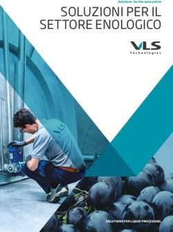 SOLUZIONI PER IL SETTORE ENOLOGICO - Solutions for the wine sector - SolutionS for liquid proceSSing - VLS Technologies