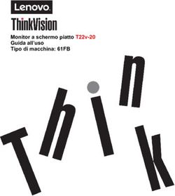 Monitor a schermo piatto T22v-20 Guida all'uso Tipo di macchina: 61FB - Icecat