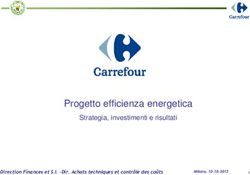 Progetto efficienza energetica - Strategia, investimenti e risultati Direction Finances et S.I. -Dir. Achats techniques et contrôle des coûts - FIRE