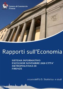 SISTEMA INFORMATIVO EXCELSIOR NOVEMBRE 2020 CITTA' METROPOLITANA DI FIRENZE