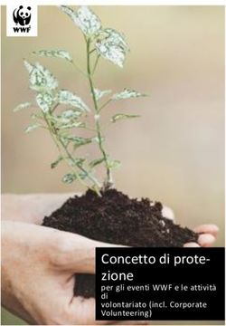 Concetto di prote-zione - per gli eventi WWF e le attività di volontariato (incl. Corporate Volunteering) - WWF-Events