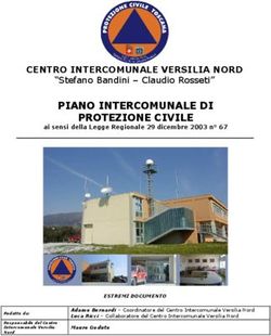 PIANO INTERCOMUNALE DI PROTEZIONE CIVILE - CENTRO INTERCOMUNALE VERSILIA NORD