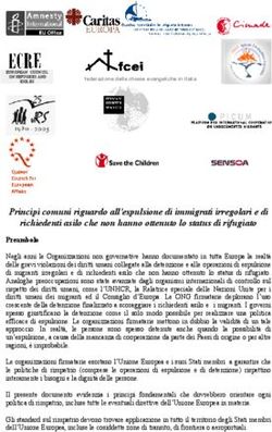 Principi comuni riguardo all'espulsione di immigrati irregolari e di richiedenti asilo che non hanno ottenuto lo status di rifugiato