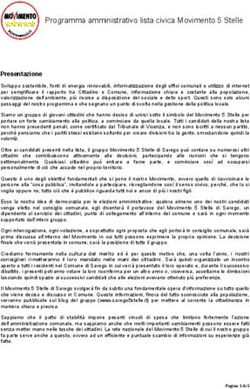 Programma amministrativo lista civica Movimento 5 Stelle