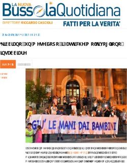 Bibbiano, un mese dopo: i fatti che molti vogliono insabbiare