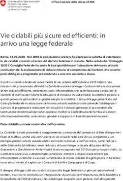 Vie ciclabili più sicure ed efficienti: in arrivo una legge federale