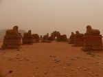 Sudan del Nord: sulle orme dei Faraoni Neri (Facoltativa estensione nel Mar Rosso)