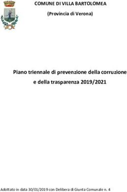 COMUNE DI VILLA BARTOLOMEA - Piano triennale di prevenzione della corruzione e della trasparenza 2019/2021