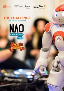 THE CHALLENGE FOR ARTS & CULTURES - NAO Challenge