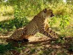 SPECIALE PROMOZIONE NAMIBIA - Davertour