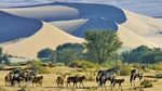 SPECIALE PROMOZIONE NAMIBIA - Davertour