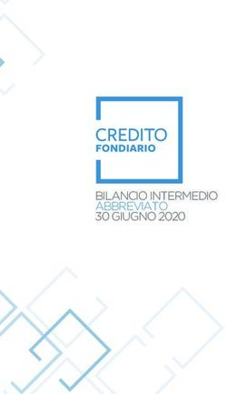 BILANCIO INTERMEDIO ABBREVIATO 30 GIUGNO 2020