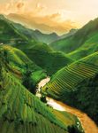 Thailandia e Indocina - Vietnam Cambogia Laos SPECIALE BIRMANIA & ESTENSIONI MARE PHUKET KOH SAMUI - Opentur