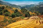Thailandia e Indocina - Vietnam Cambogia Laos SPECIALE BIRMANIA & ESTENSIONI MARE PHUKET KOH SAMUI - Opentur