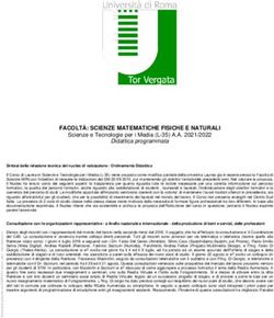 FACOLT&Agrave;: SCIENZE MATEMATICHE FISICHE E NATURALI