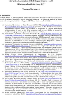International Association of Hydrological Sciences - IAHS Relazione sulle attività - Anno 2017 Tommaso Moramarco - Cnr