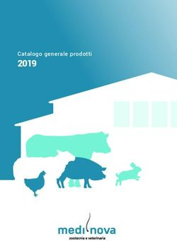 2019 Catalogo generale prodotti - AND EMILI