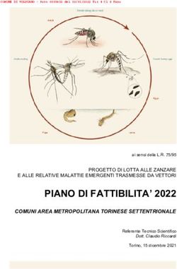 PIANO DI FATTIBILITA' 2022 - Comune di Volpiano