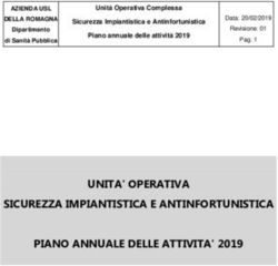 UNITA' OPERATIVA SICUREZZA IMPIANTISTICA E ANTINFORTUNISTICA PIANO ANNUALE DELLE ATTIVITA' 2019 - Ausl Romagna