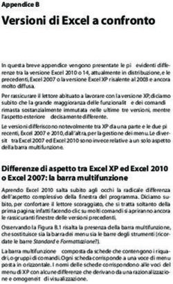 Versioni di Excel a confronto - Appendice B