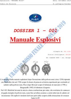 Manuale Esplosivi DOSSIER 1 001 - Finali Nazionali FIGT